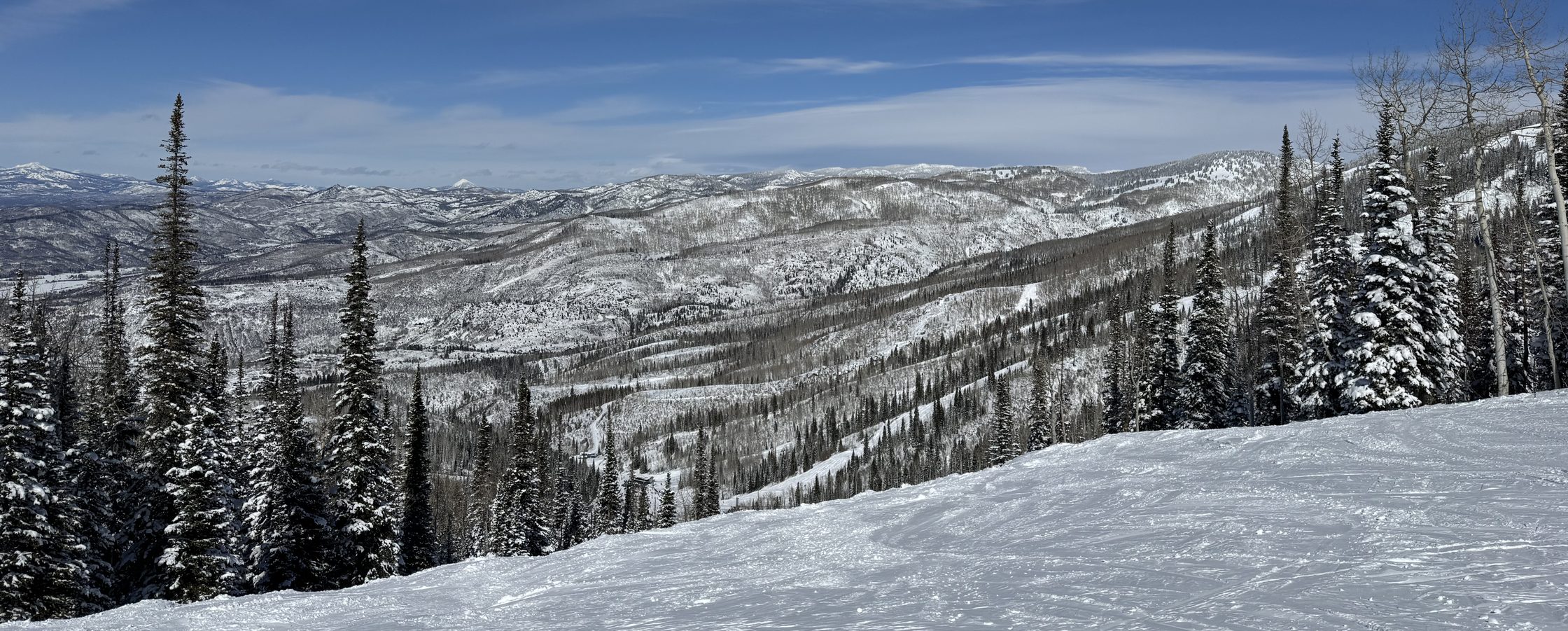 Snow-covered pines and ridgelines above the Yampa Valley in midwinter